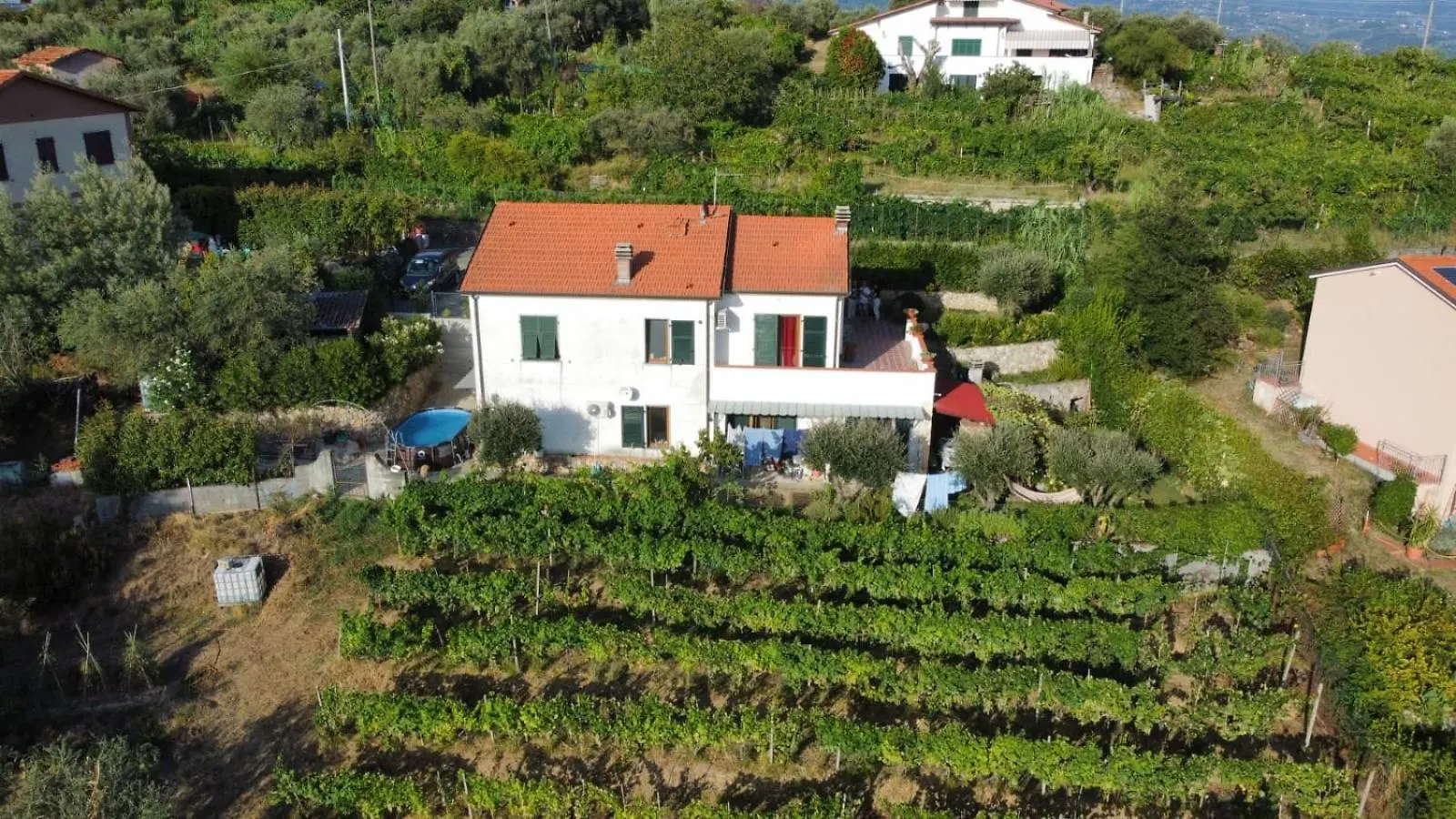 In Vino Veritas Arcola