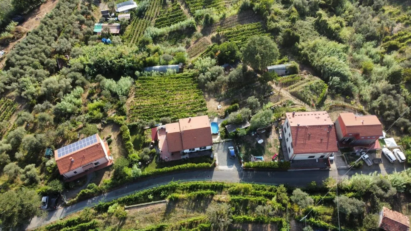 In Vino Veritas Arcola Italy
